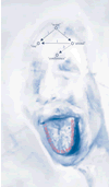 la langue au cerveau — the tongue in the brain (MTT 2003)